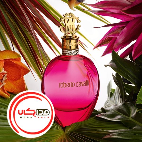 عطر ادکلن روبرتو کاوالی اگزوتیکا | Roberto Cavalli Exotica