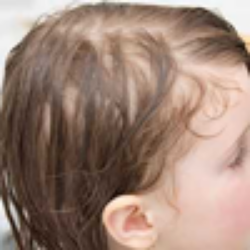 نازک و کم حجم