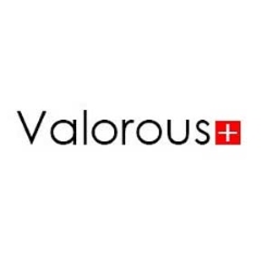 تصویر برای تولیدکننده: والوروس | Valorous