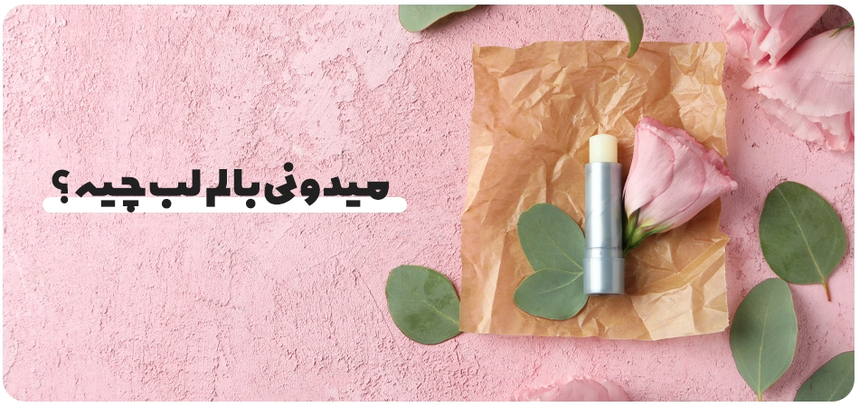 بالم لب چیست و چه ویژگیهایی باید داشته باشد؟
